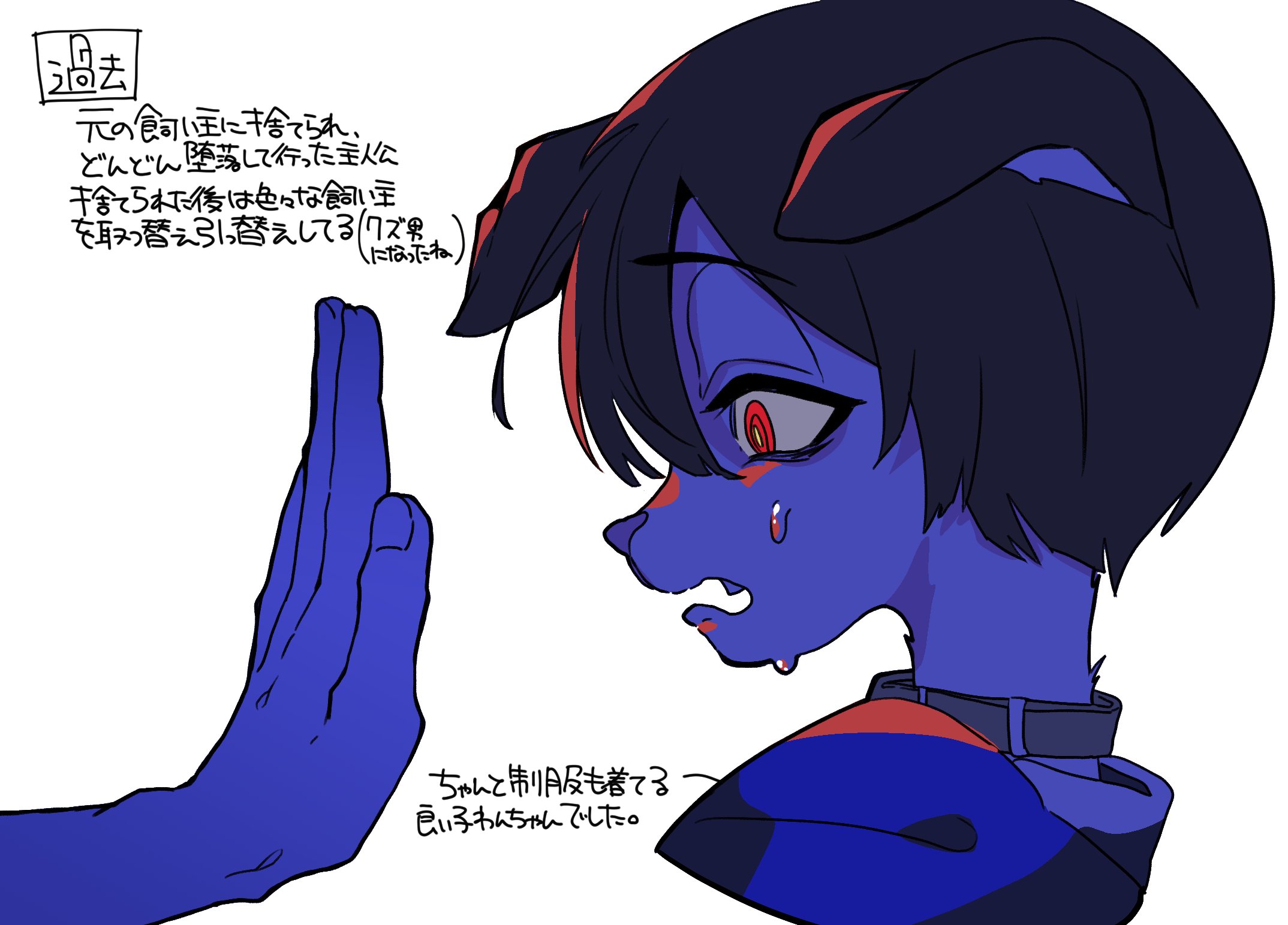 のらいぬページ 野良いぬ🐶 (@norainu03019) / X