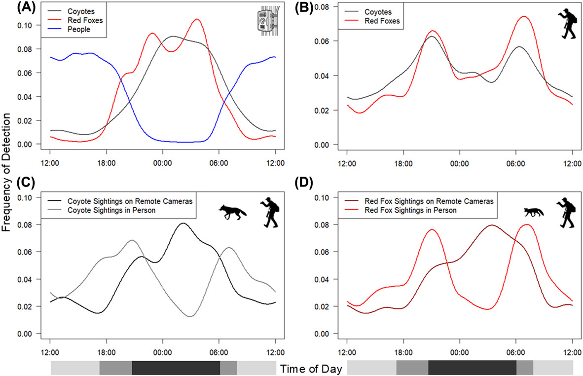 Citizen science project on urban canids provides different results from camera traps but generates interest and revenue nsojournals.onlinelibrary.wiley.com/doi/10.1002/wl… #UrbanCarnivores #HumanWildlife #Interactions @‌wildlifebiology.bsky.social <a href="/NordicOikos/">Nordic Society Oikos</a> <a href="/WileyEcolEvol/">Wiley Ecology & Evolution</a>