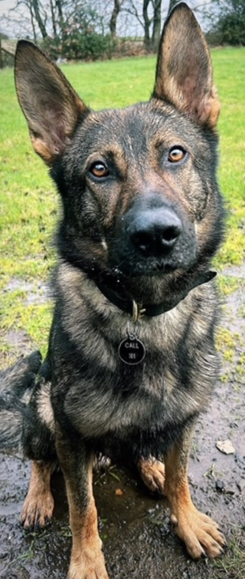 Bexley MPS tweet media