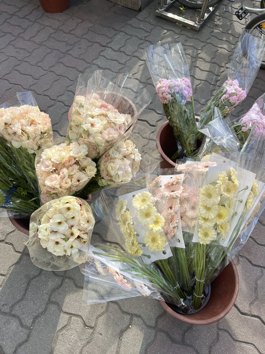 틀림없이 봄이 왔어요！