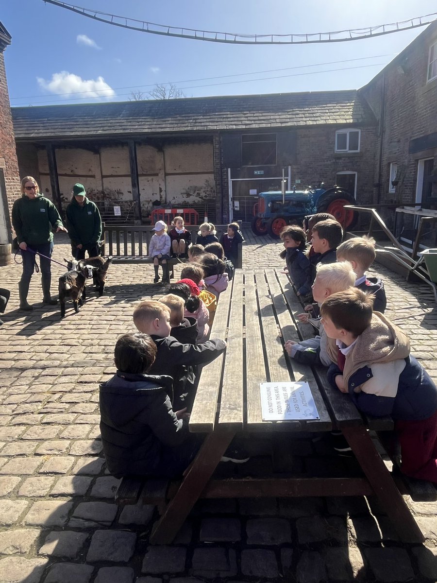 Miss Flynn tweet media