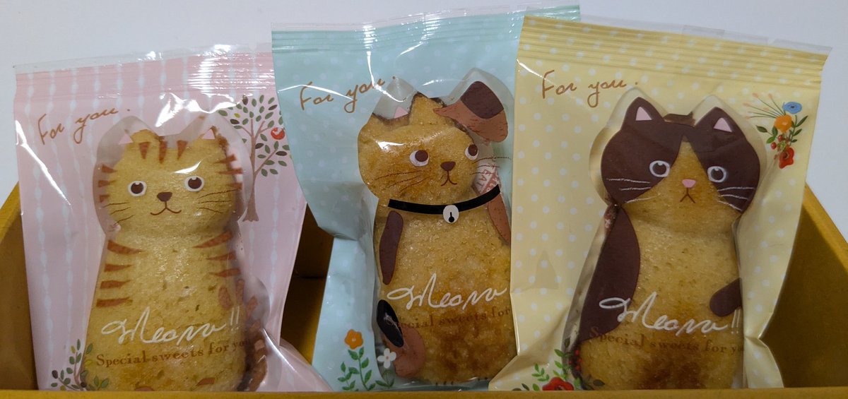 かわいいですよね✨