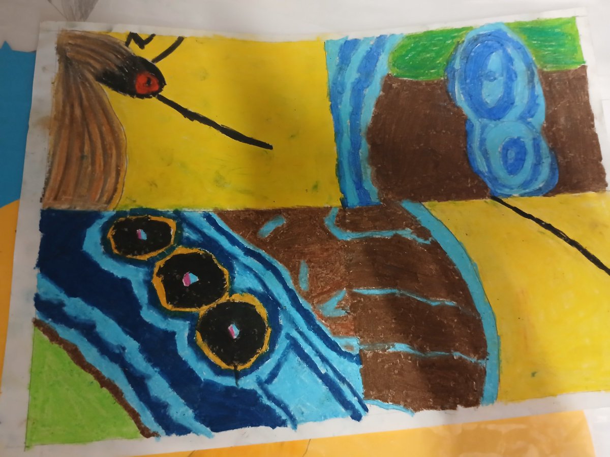 Winchelsea Year Four tweet media