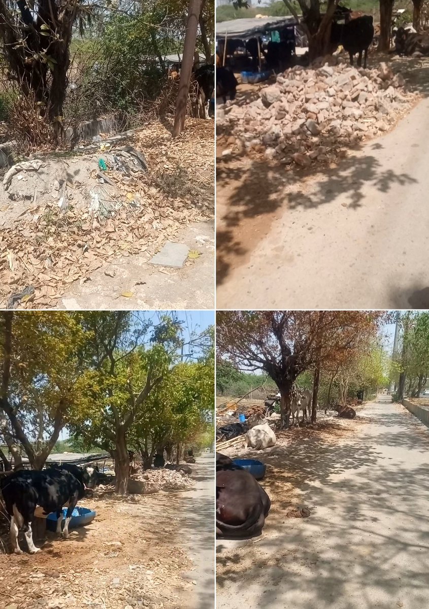 <a href="/CeoNoida/">CEO, NOIDA Authority</a> 
<a href="/noida_authority/">NOIDA Authority</a> 
कई दिनों से बायोडायवर्सिटी पार्क शहीद भगत सिंह रोड  की सर्विस लेन को बंद किए जाने की वजह से वहां पर रोड पर गंदगी और आने जाने वालों को असुविधा का सामना करना पड रहा है और रोड़ पर गौशाला के नाम पर एंक्रोचमेंट हो रही है, 
वालंटियर 137