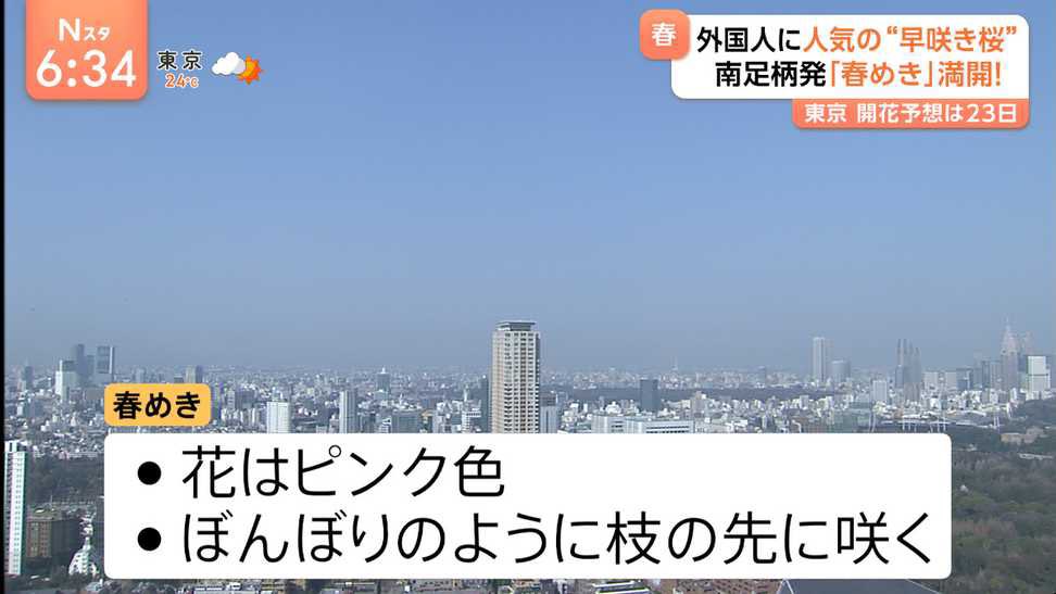 春からは下部のテロップは↓になるらしい！（先走ってすみません）
#Nスタ #TBS