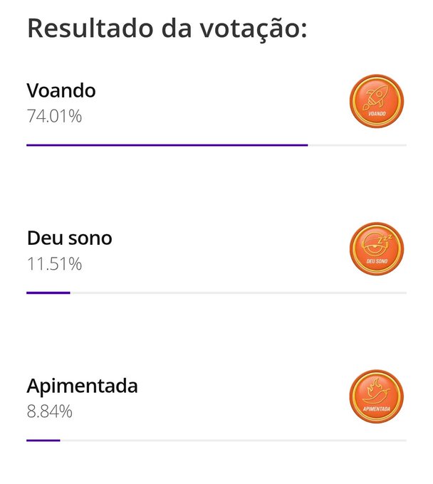 Votação da liderança de Renata - Foto: Reprodução