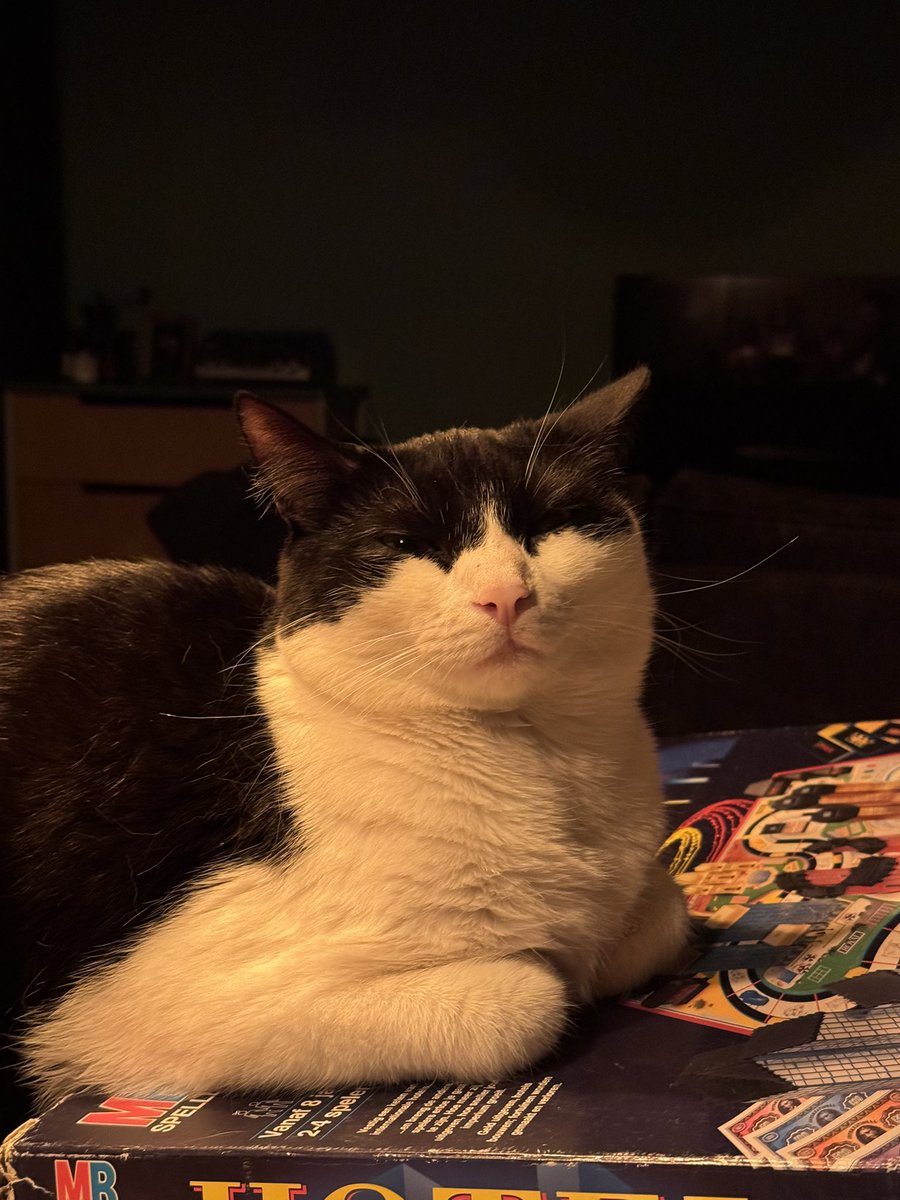 Gm, my cat isn’t ready for the day, but I sure am. Let’s get to grinding!