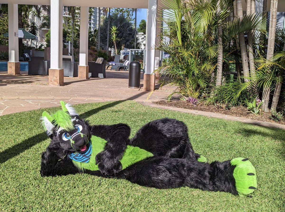 Whufffluff's tweet image. So who am I gonna see at FurDU next week?

#FursuitFriday #furdu2025