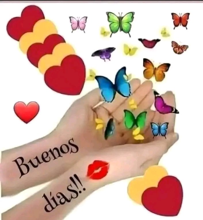 Maritza Rojas tweet media