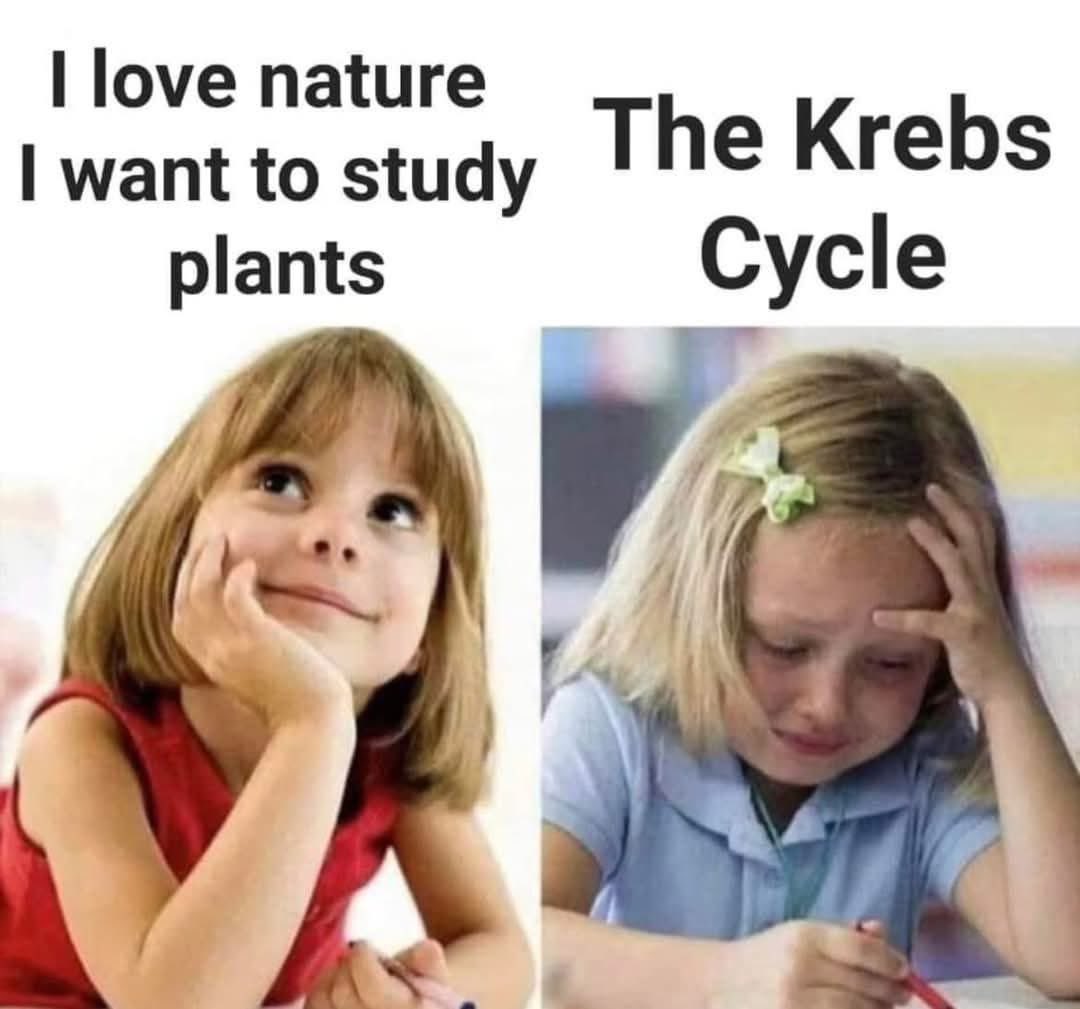 Plant Biology students will get it 😂 #teaching #science #GuelphTurf