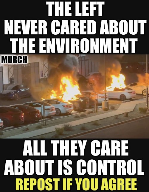 If you are burning Teslas then you never cared about the environment or green new deal. 

All you care about is control.
