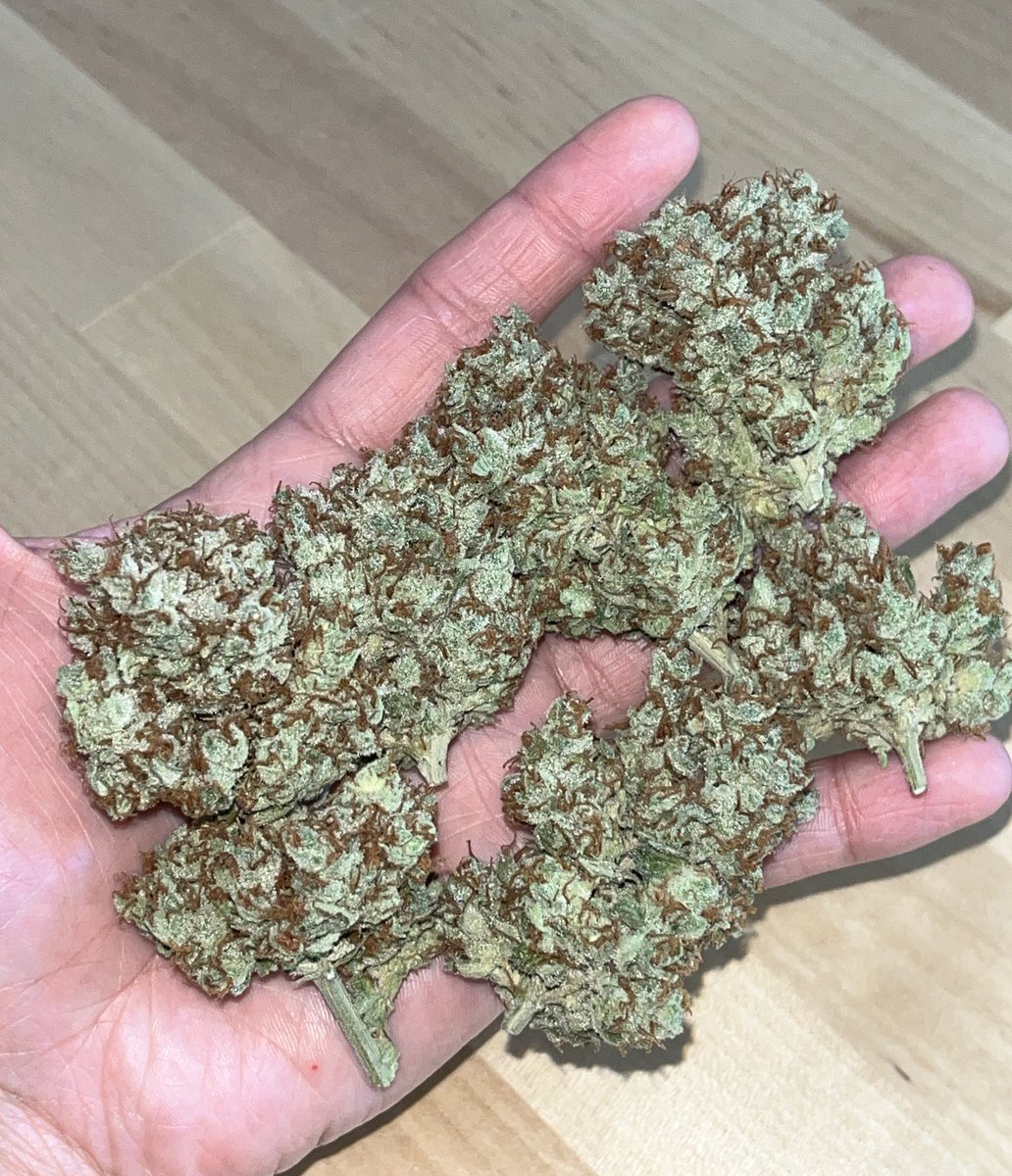 En cuánto te acaba esto ?