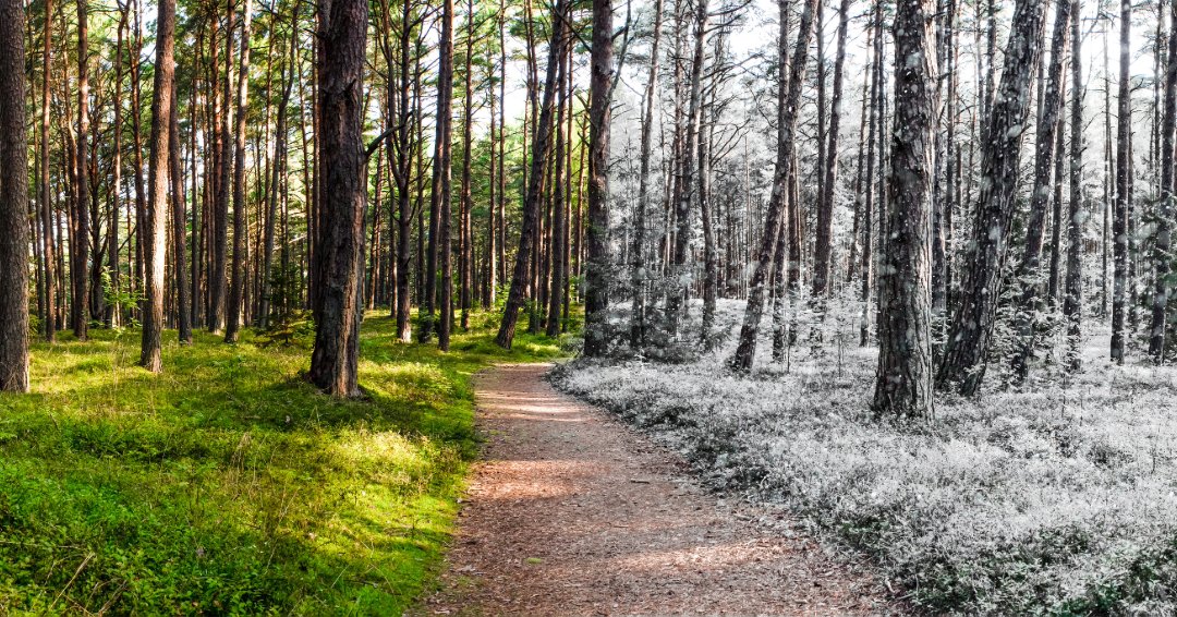 RocheRealty's tweet image. 🌨️ NH’s weekend weather = snow, sleet, &amp;amp; rain! Be prepared for slick roads &amp;amp; scattered outages. ⚠️

But here’s the real debate:
❄️ Last winter storm of the season?
OR
🌷 More snow ahead before April showers?
Drop your predictions below! ⬇️
#NHWeather #WinterVsSpring