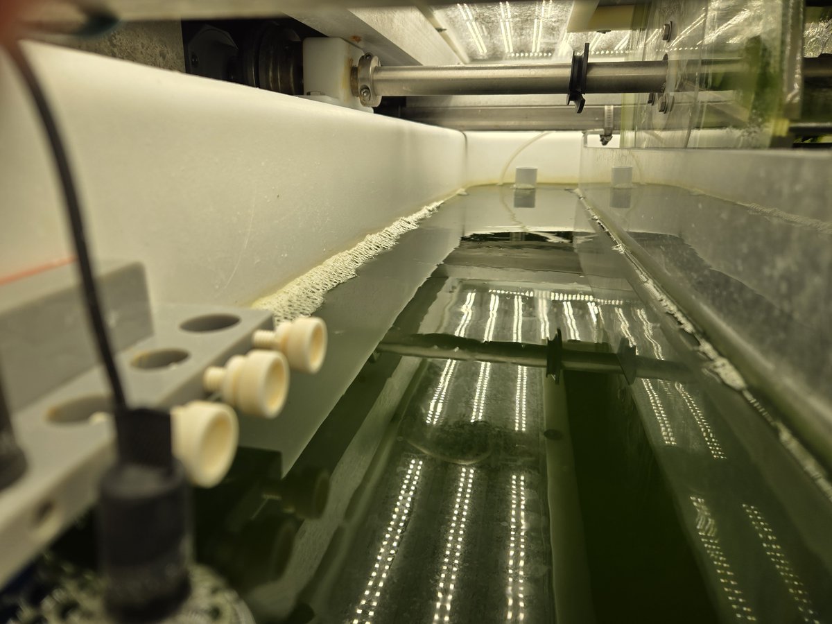 CSUMechEngr's tweet image. Algae-based biofuels could be the key to sustainable aviation & marine transport! CSU researchers mapped out the best U.S. locations for large-scale algae production.
Read more: engr.source.colostate.edu/where-should-w…
#CSUEngineering #Biofuels #Sustainability