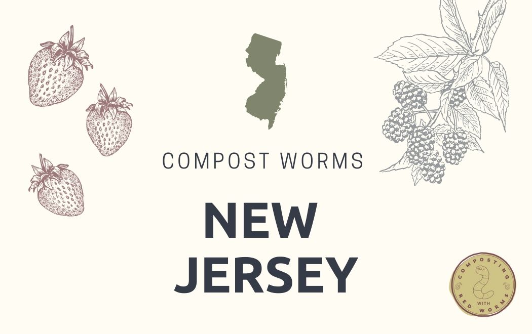 CompostingWorm's tweet image. Another updated page! Check out our newly updated #NewJersey page. Buy compost worms in-state or add your seller information!
compostingwithredworms.com/buy-red-worms-…