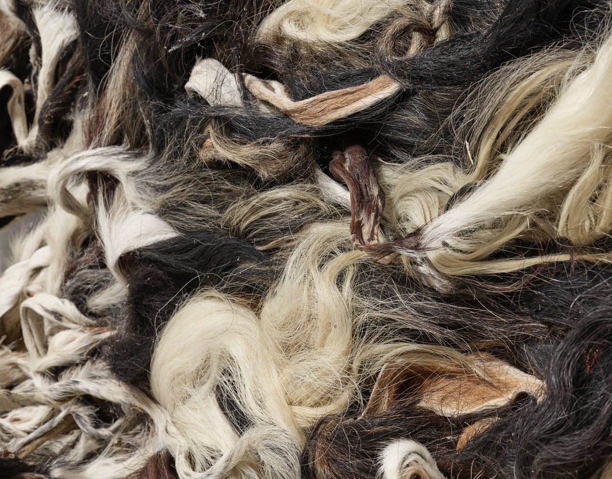 MADRAMAHA's tweet image. Enchantment by Nandipha Mntambo