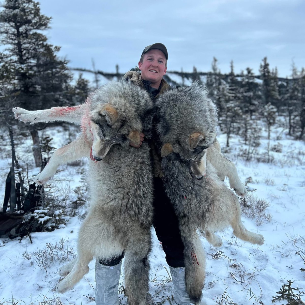 Xpose Trophy Hunting tweet media