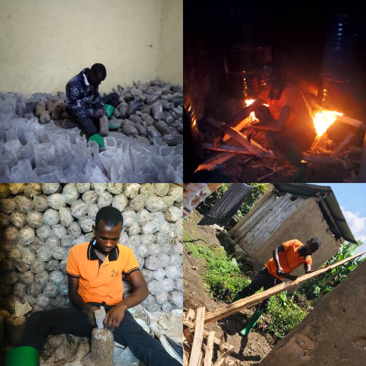 Pax Mushroom Farm Ltd tweet media