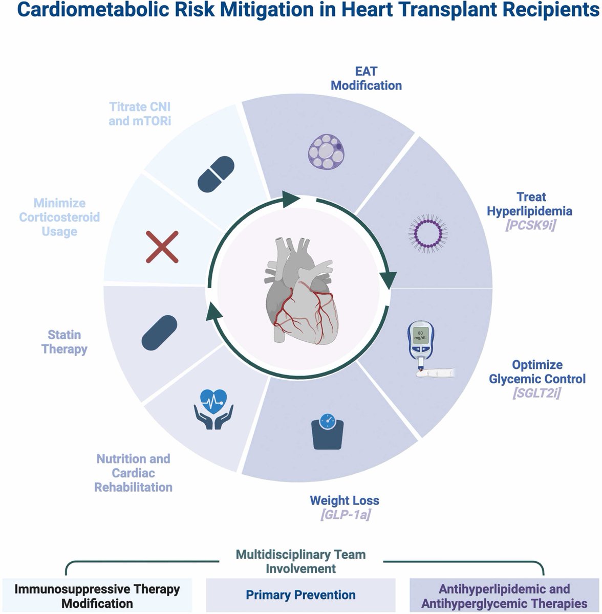 What is the role of novel cardiometabolic therapeutics in heart transplant recipients? #JHLT <a href="/laurentrubymd/">Lauren K. Truby</a> <a href="/a_gorrai/">Ananya Gorrai</a> @maryjanefarrmd @markdrazner @soniagargmd <a href="/beaini_hadi/">Hadi Beaini, MD</a> <a href="/nickhendrenMD/">Nicholas Hendren</a> <a href="/EAshleyHardinMD/">ashley hardin</a> <a href="/dramitkhera/">Amit Khera</a> <a href="/thomasjwang1/">Thomas Wang, MD</a> <a href="/matthias_peltz/">Matthias Peltz</a> 

🔗: jhltonline.org/article/S1053-…