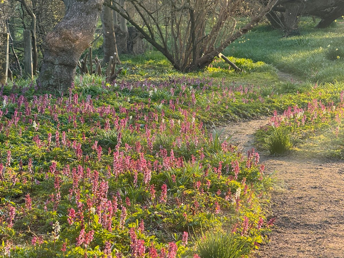 Stinze-Stiens wordt actief op bluesky als MonumentStiens