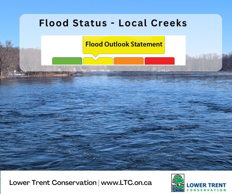 LTC advises municipalities and the public that a Flood Outlook Statement has been issued for the local creeks within the Lower Trent Watershed region (area stretching from Grafton to Quinte West and from Lake Ontario to east of Centre Hastings). ltc.on.ca/water_bulletin…