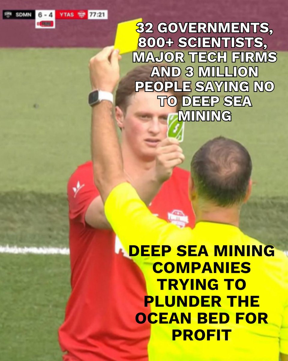 🚨 The first deep sea mining application could be submitted this year.
🌊 Scientists, Indigenous leaders, tech giants, and millions of people are speaking out. Will you?

The future of our oceans is at stake- sign the petition today! ✍️ act.gp/4j10v8P