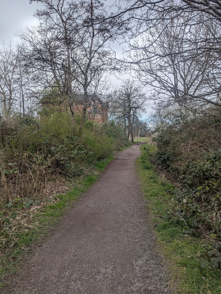 solcorporal's tweet image. gm soldiers 🫡

real ones stay locked in on Fridays 🔒