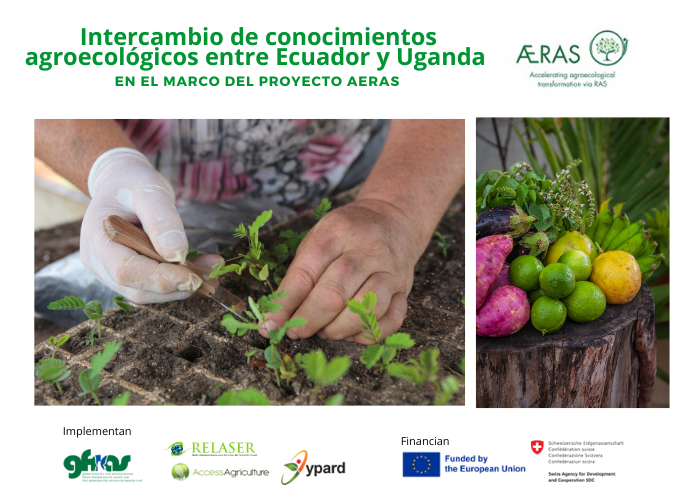 Expertos/as, extensionistas y agricultores compartieron experiencias para fortalecer la agroecología en un encuentro virtual del Proyecto AERAS, con temas como:
🌱 Siembra directa
🌱 Sistema de Intensificación del Arroz
🌱 Biofertilizantes
Revívelo aquí 👉 cutt.ly/2rpJ5OyR
