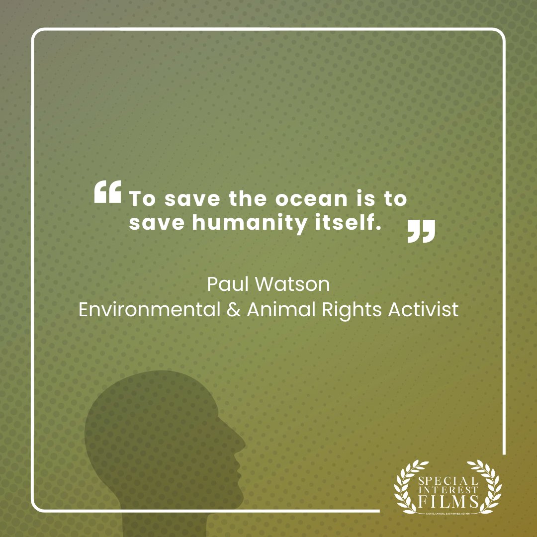 Paul Watson, founder of Sea Shepherd, has dedicated his life to protecting marine life and our oceans. Through bold actions and a relentless drive, he's sparked a global movement for conservation. Let's follow his lead and protect our planet's future. #PaulWatson