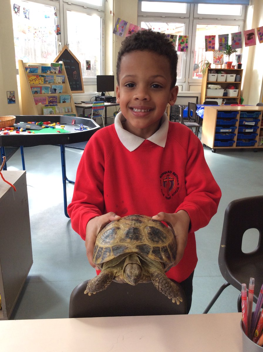 EdwardBethamSch's tweet photo. Reception were delighted with today's visitor Raphael the tortoise. He made this week's book focus, 'The tortoise and the hare' come to life.
#eyfs #eyfslearning https://t.co/5bzEwEnxKP