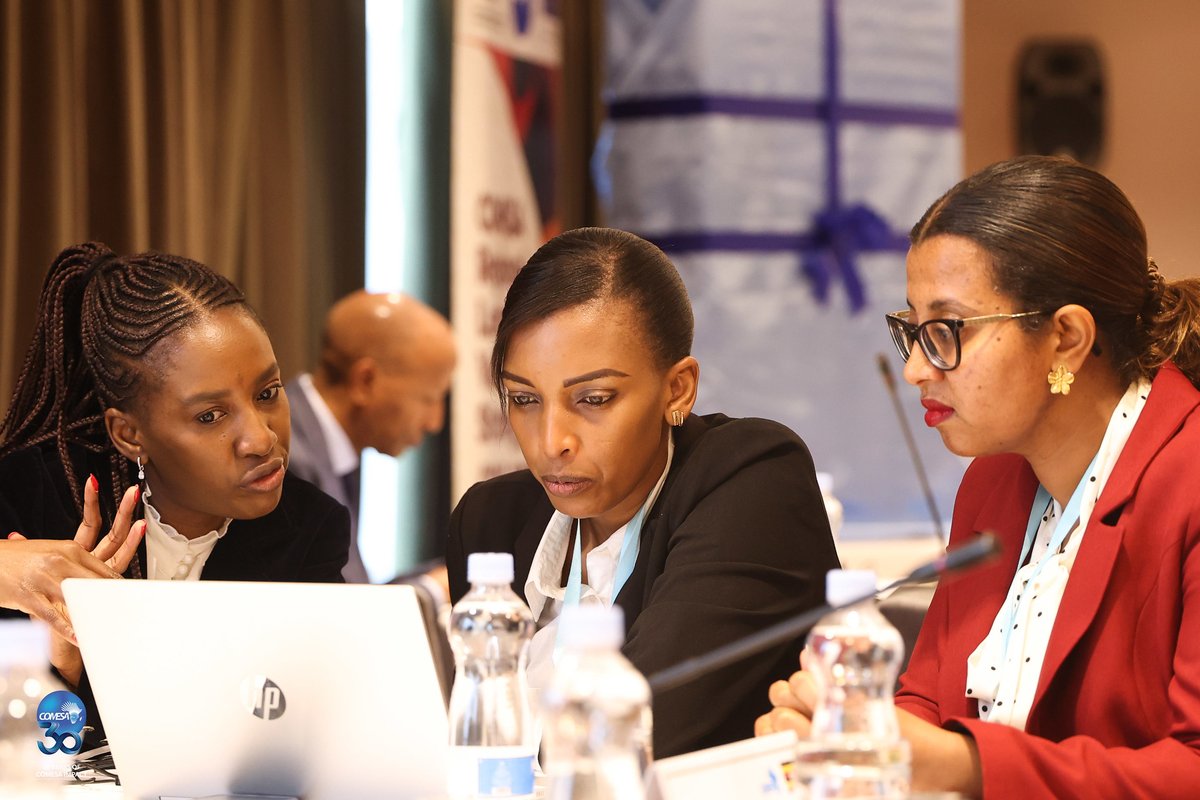 ARSO_1977's tweet image. ARSO is proud to participate in the @COMESA_HQ  Regional Leather Value Chain Strategy launch in Nairobi! We're committed to supporting the development of quality standards for a thriving African leather industry. #COMESA #ARSO #LeatherIndustry #Africa @nhermog