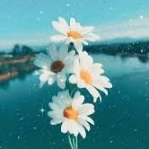 #صورة_جديدة_للملف_الشخصي