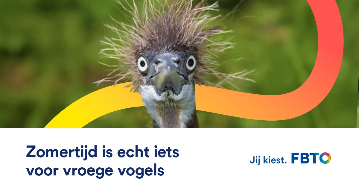 #Zomertijd In de nacht van zaterdag op zondag gaat de klok 🕑 een uur vooruit. Handig ezelsbruggetje: in het 𝘃𝗼𝗼𝗿jaar gaat de klok een uur 𝘃𝗼𝗼𝗿uit. #langerlicht 🌞