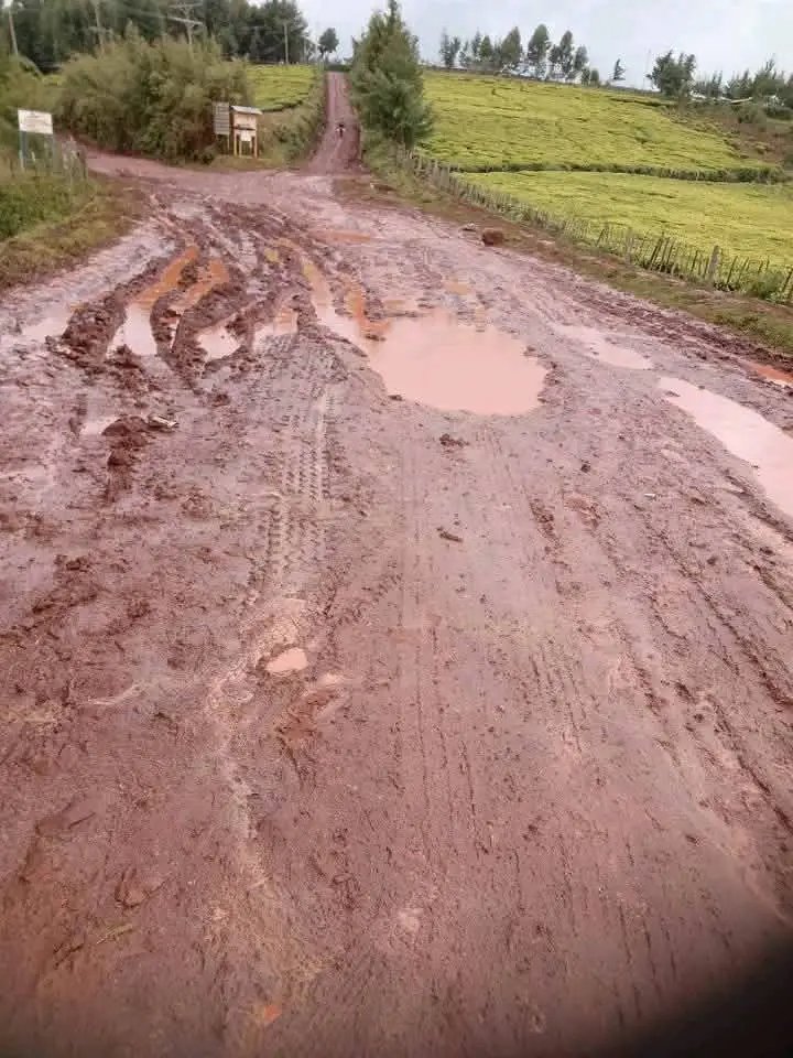 Kiplaahbett_ke's tweet photo. The kind of roads we have in kuresoi south,Nakuru county 
Our governor is enjoying life in USA using taxpayer's money 
#RutoMustGo 
#freegoodie 
Rt widely https://t.co/FATKGFVcJL