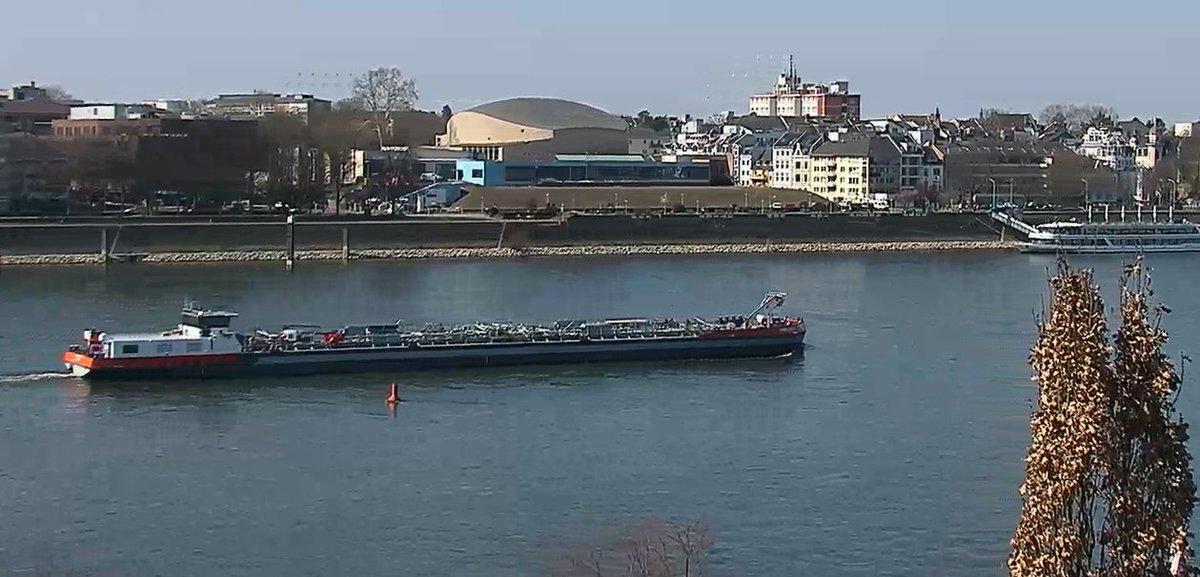Rheinpegel's tweet image. Hallo #Synthese 11 #Schiff #Bonn #Rhein