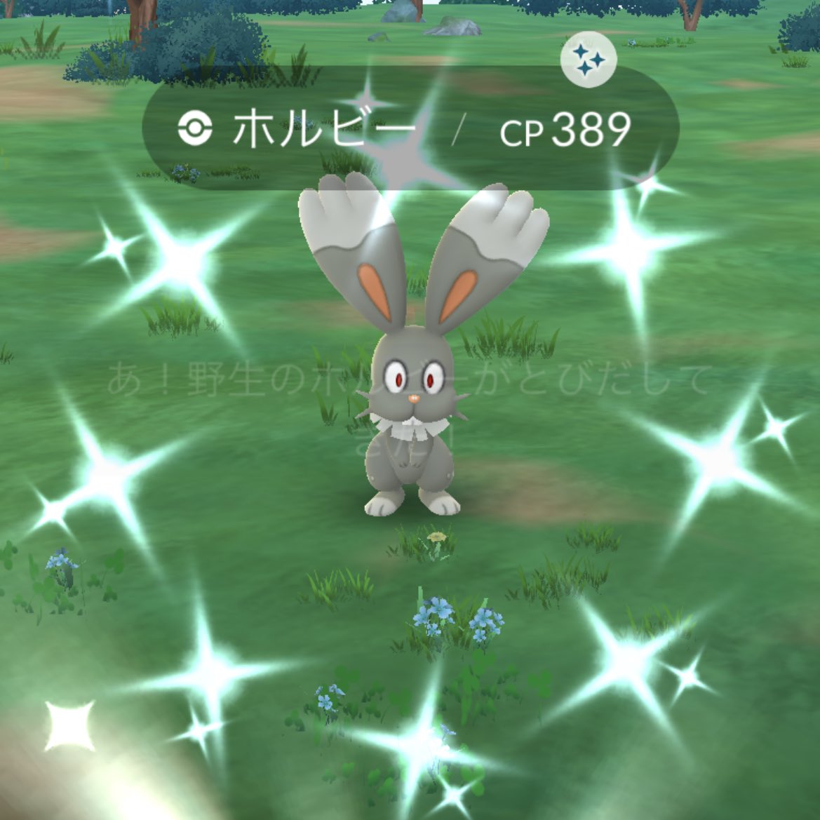 K1nu_0ToFu's tweet photo. 今日は色違いと💯
嬉しい🥹

#ポケモンGO https://t.co/oArKfwOxuH
