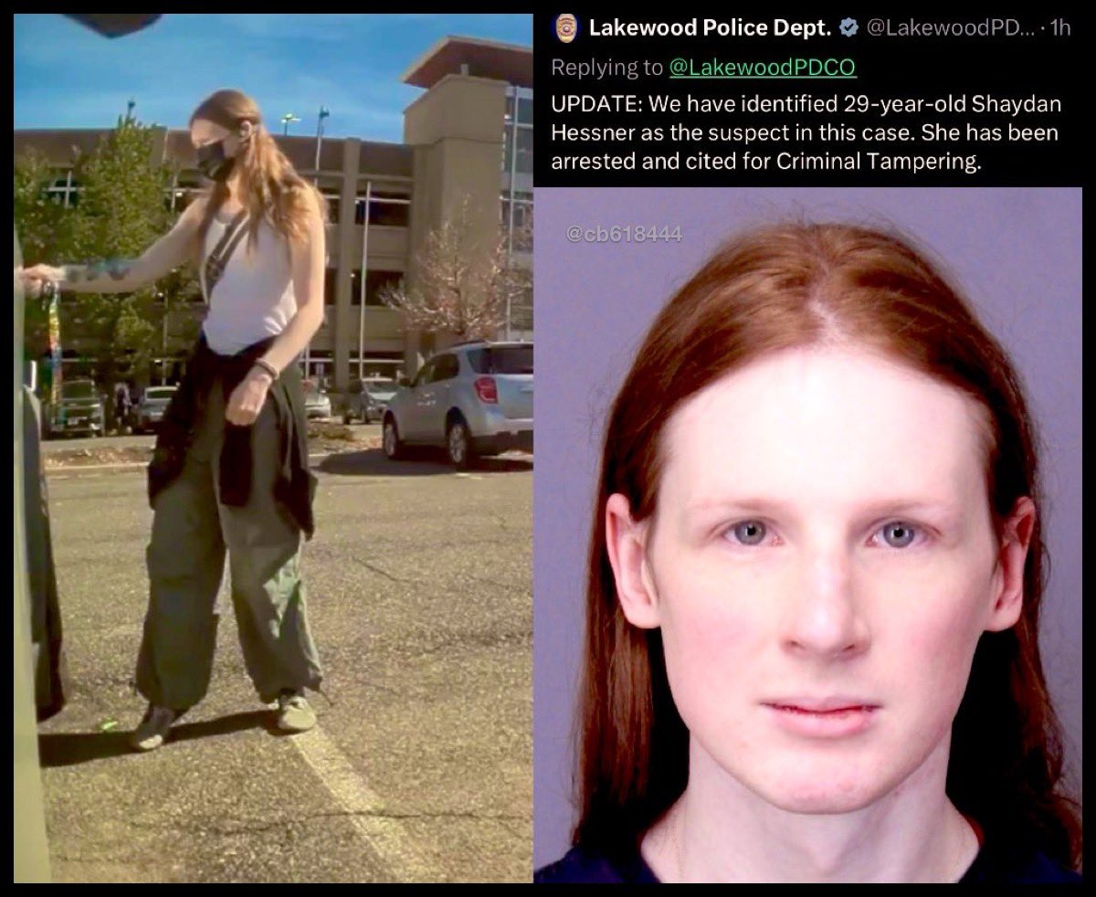 Another FAFO Tesla terrorist arrested. 

It’s name is Shaydan Hessner 👈

Make it  famous for all the wrong reasons 👇