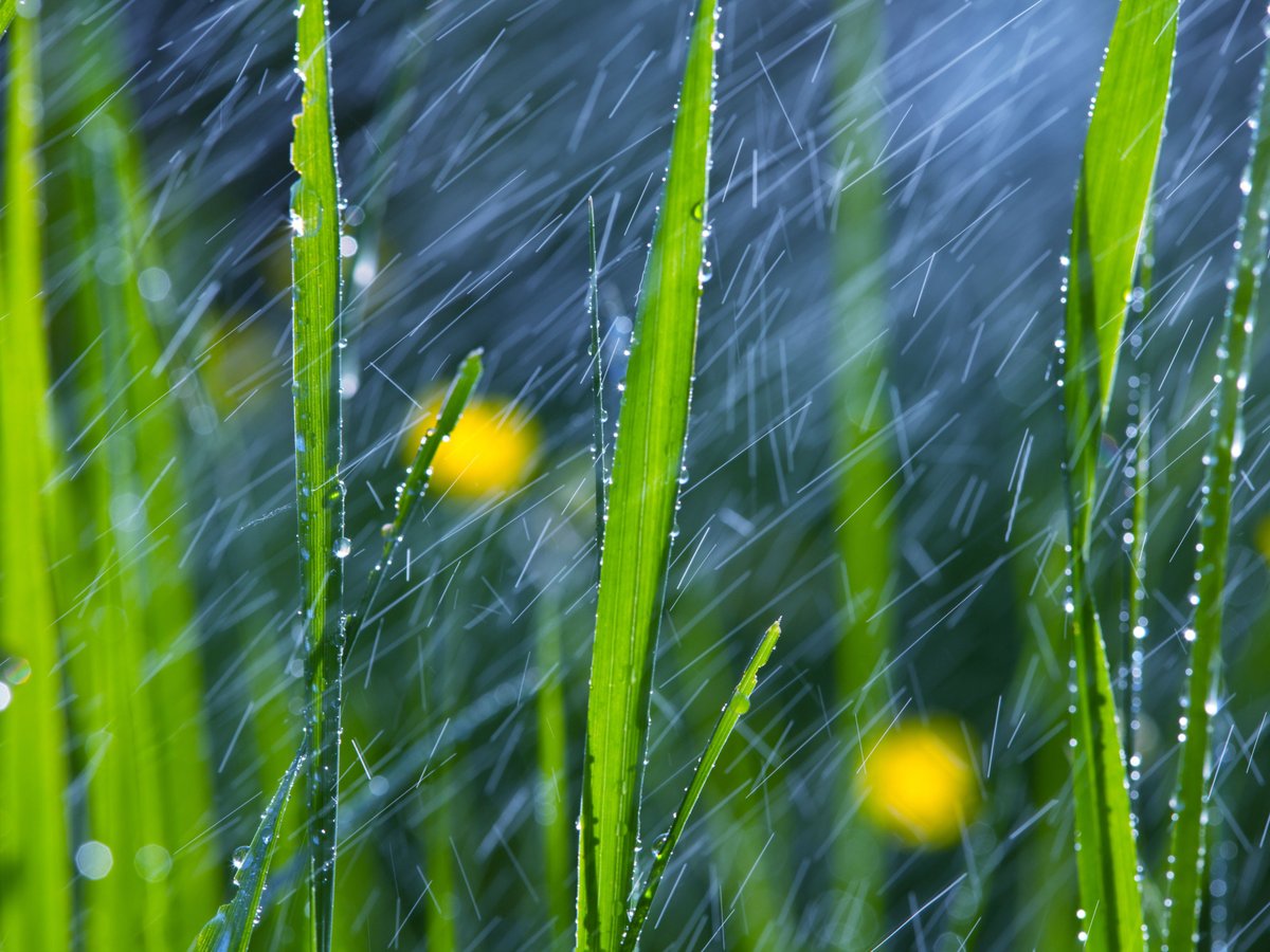 Our online 'SuDS' course is back with updated content! 📢 Learn about UKSuDS tools and drainage design. 7 modules, quizzes, and live Q&amp;A. 🌊 When: 1 April - 30 June, Cost: £250 (£200 until 31 May). 
👉ow.ly/5SrY50VpRqr)