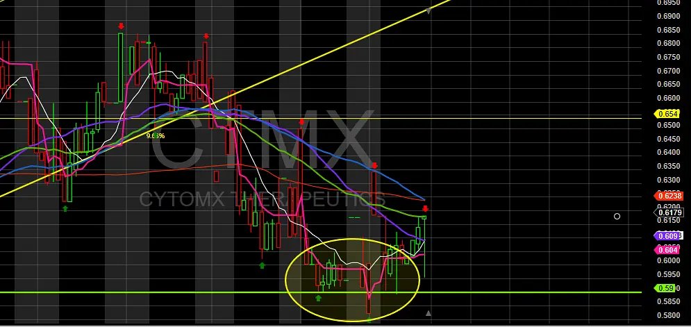 MaxSextus tweet picture