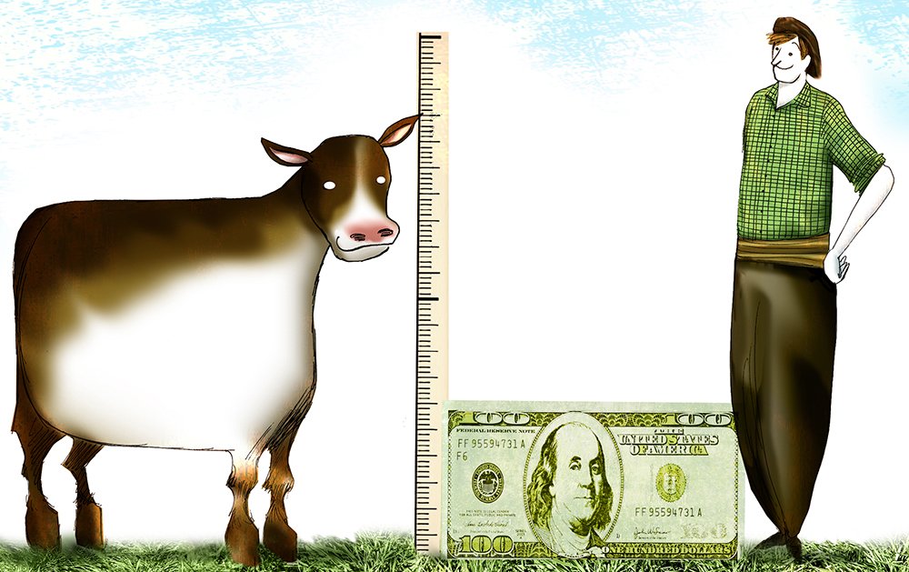 Cómo aprovechar los altos precios del ganado en dólares. En tiempos de fuerte suba de los valores del ternero y el novillo en relación a la divisa, <a href="/ElizaldeRiffel/">Elizalde & Riffel</a> analiza qué niveles de intensificación permiten pagar el alquiler de la tierra y ganar plata valorcarne.com.ar/como-aprovecha…