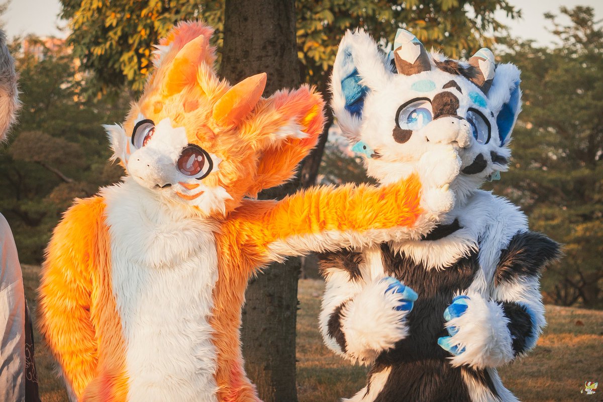 #FursuitFriday 

🐷🐷
