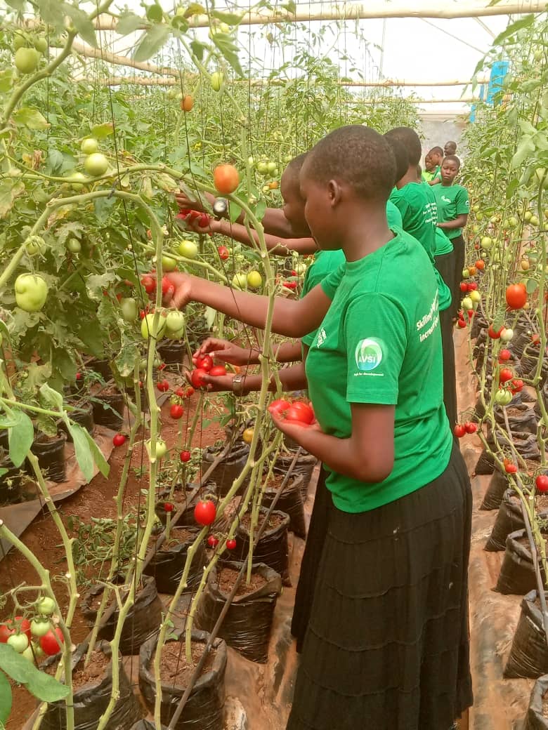 Iganga Girls Secondary School (@igangass) on Twitter photo Iganga ss students proudly showcase their farm during harvest season celebrating the fruits of their hardwork and dedication to agriculture. <a href="/EmilyKabuye/">Emily kabuye</a> <a href="/rickeymbeiza/">Rickey Mbeiza</a> <a href="/WereJuliet/">Juliet Were</a> <a href="/merikolpat/">merikol patrick</a> <a href="/Educ_SportsUg/">Ministry of Education and Sports - Uganda</a> @ Iganga ss students proudly showcase their farm during harvest season celebrating the fruits of their hardwork and dedication to agriculture. <a href="/EmilyKabuye/">Emily kabuye</a> <a href="/rickeymbeiza/">Rickey Mbeiza</a> <a href="/WereJuliet/">Juliet Were</a> <a href="/merikolpat/">merikol patrick</a> <a href="/Educ_SportsUg/">Ministry of Education and Sports - Uganda</a> @
