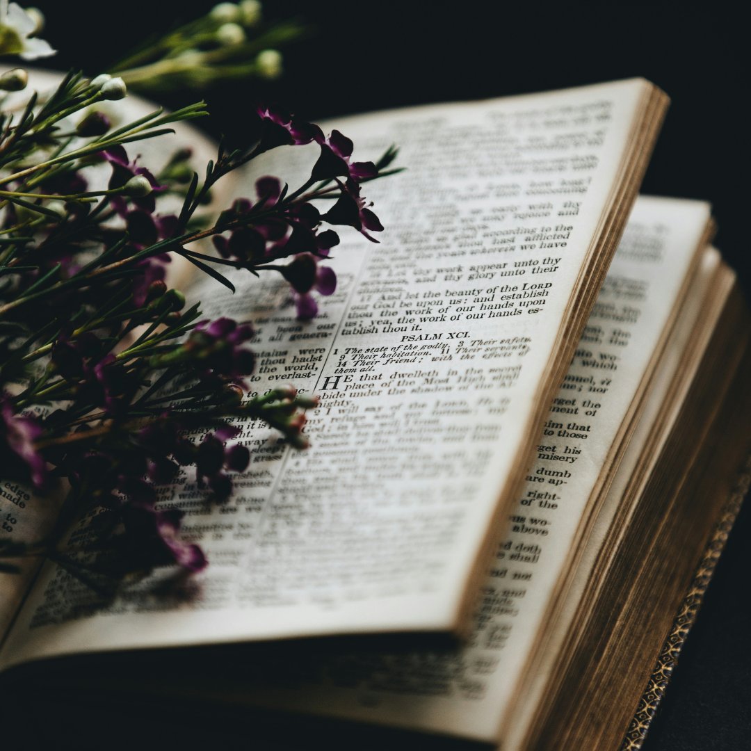 Novel_Convers's tweet photo. “The love of learning, the sequestered nooks,
And all the sweet serenity of books” ― Henry Wadsworth Longfellow

What's a book that you learned a lot from?

#evergreenpodcasts #novelconversations #bookphotography #bookaesthetic #beautifulbooks #booksaremypassion #darkacademia https://t.co/BEHILSyhbQ