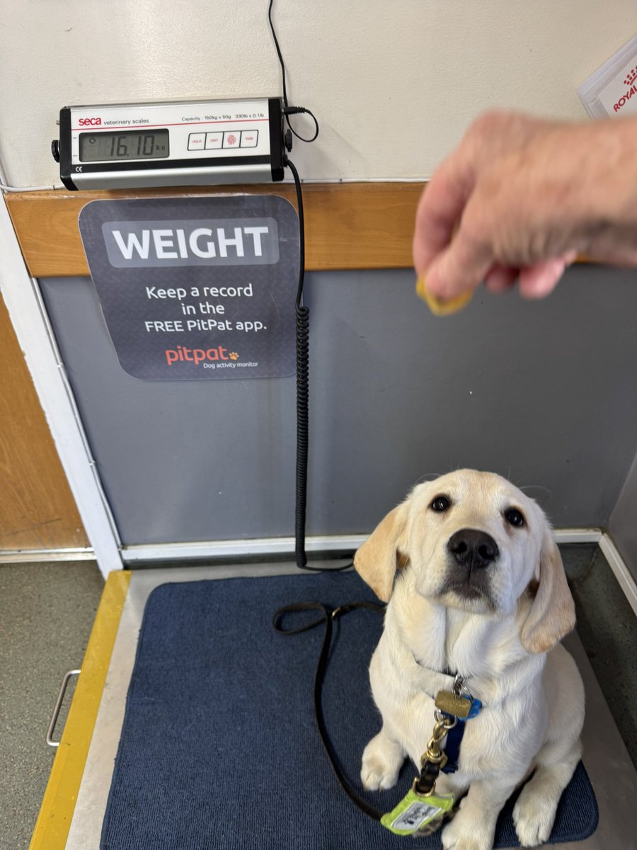 Indy’s growing fast