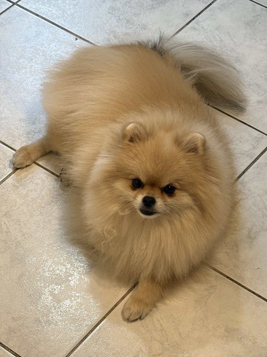 B3TON vs Derankvonat 🏆
20:00 - Gyertek szurkolni, kemény meccs lesz 🔥