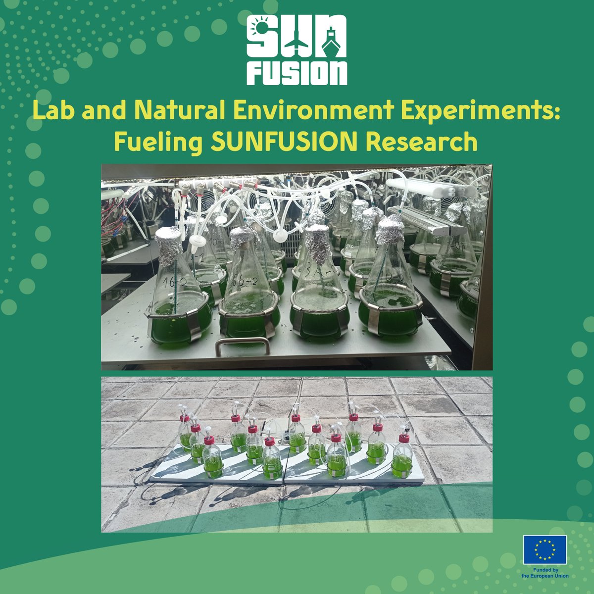 Diving deep into Scenedesmaceae family! The partners from AUTH are examining the growth rate and lipid accumulation under both controlled laboratory conditions and natural light environments ☀️📷 

Stay tuned sunfusion.eu
 
#ResearchImpactEU #HorizonEurope