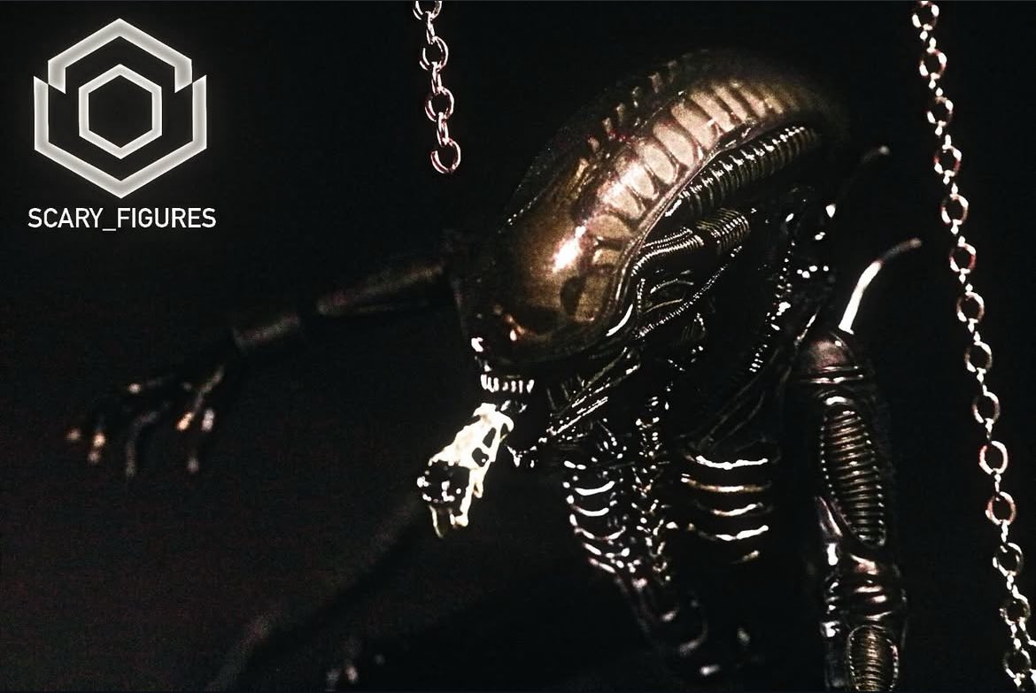 Run…

#actionfigure #actionfigures #figurephotography #horror #HorrorMovies #mezco #mezcoone12 #alien1979 #xenomorph #alienfranchise