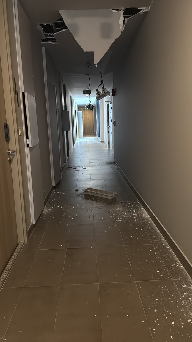 Janine Panzer (Phakdeetham) tweet media