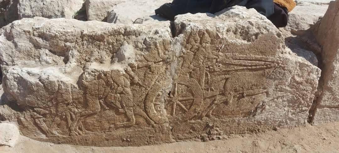 Museum_Iraq's tweet photo. بالصور : بعثة التنقيب التابعة لجامعة هايدلبرغ الألمانية في تل قوينجق / محافظة نينوى تستمر باعمال التنقيب في قاعة العرش اذ بدأت باستظهار اجزاء منها والعثور على عدد من القطع الأثرية المهمة بالإضافة إلى هياكل عظمية تعود إلى حيوانات إلا أن تفاصيل هذه الاكتشافات ما زالت قيد الدراسة. https://t.co/vuDEPvImxj