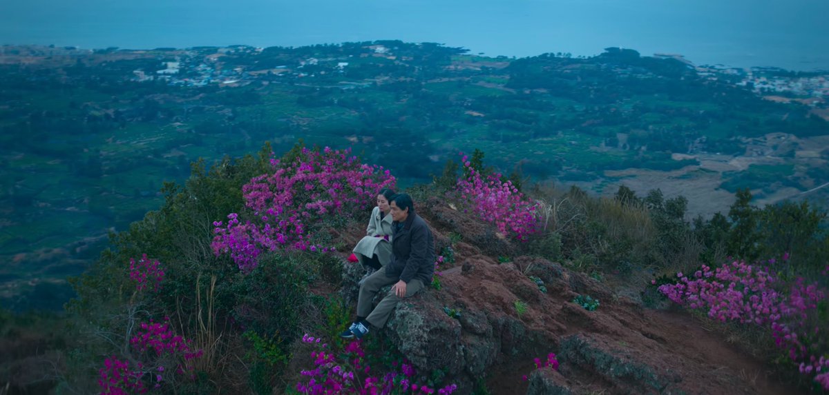 kdramasdiary's tweet photo. the beauty of when life gives you tangerines 🍊 https://t.co/PqE0vdlX3q